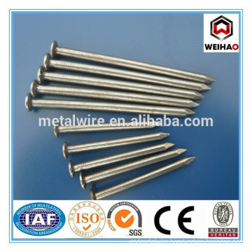 good quality common nail made in China